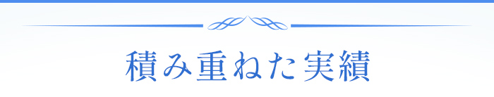 積み重ねた実績